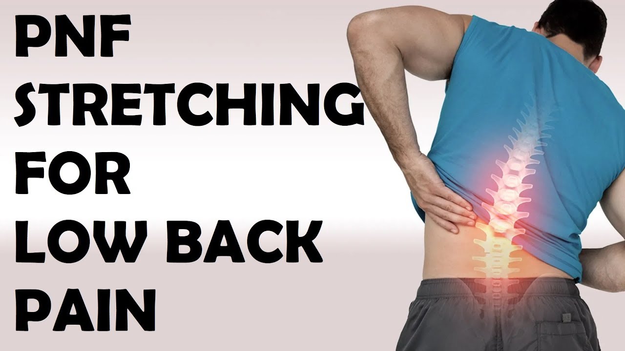 PNF STRETCHING for Lower BACK PAIN RELIEF | Upper Back Pain & Low BACK PAIN TREATMENT | Lumbar Pain