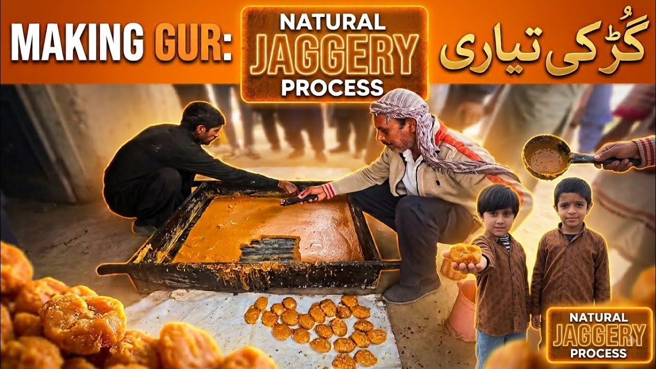 Gur Making Process From  Sugar Cane | Jaggery Making Process  | Natural Gur 