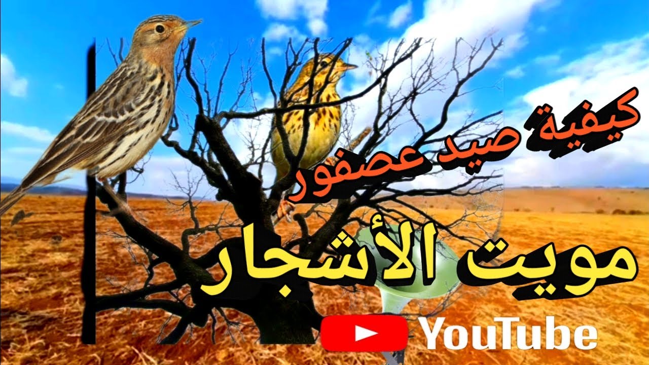 #كيفية_صيد