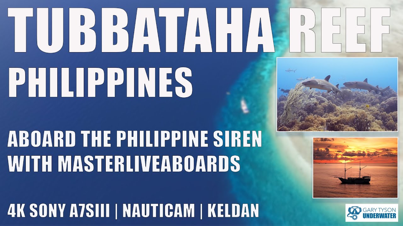 4K Tubbataha Reef, Philippines. Scuba diving aboard the Philippines Siren liveaboard in June 2024.