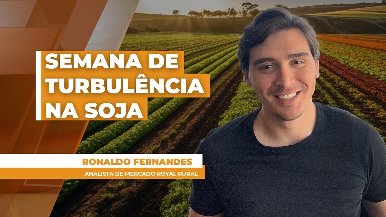 Após semana turbulenta, soja volta aos R$ 132 nos portos, com Chicago e dólar muito voláteis