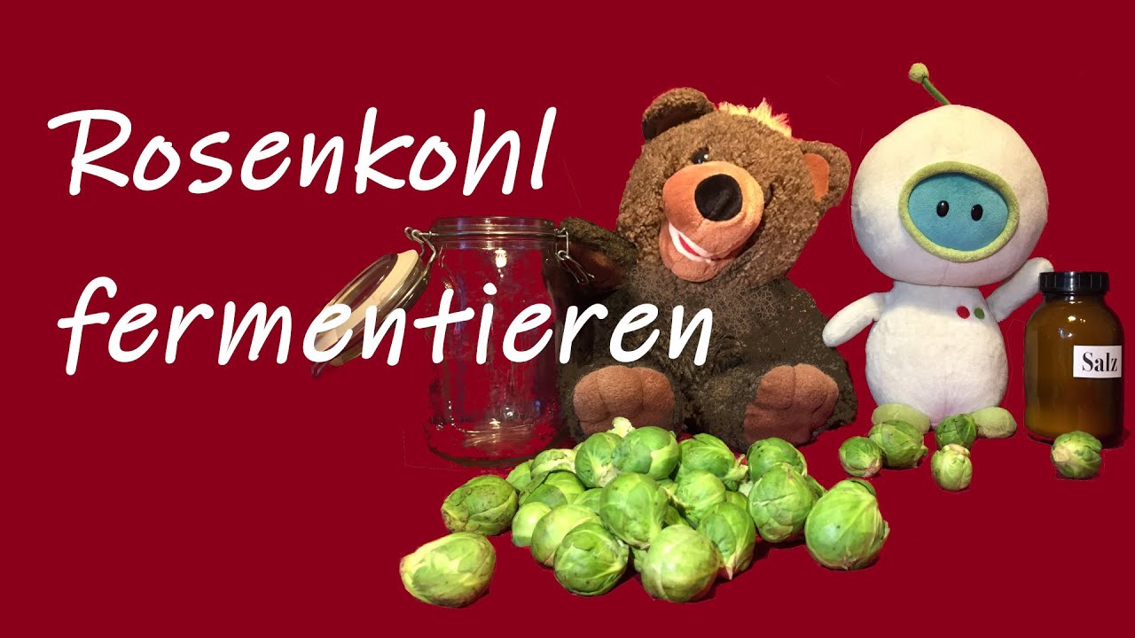 Rosenkohl fermentieren. Die HeilBAR empfiehlt. Darmpflege vom Feinsten.