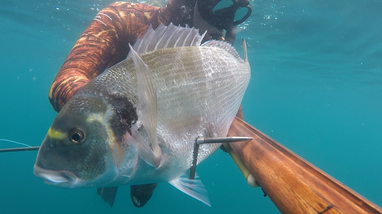 Mon Nouveau Fusil: DEAMON TEAK HYDRA 100