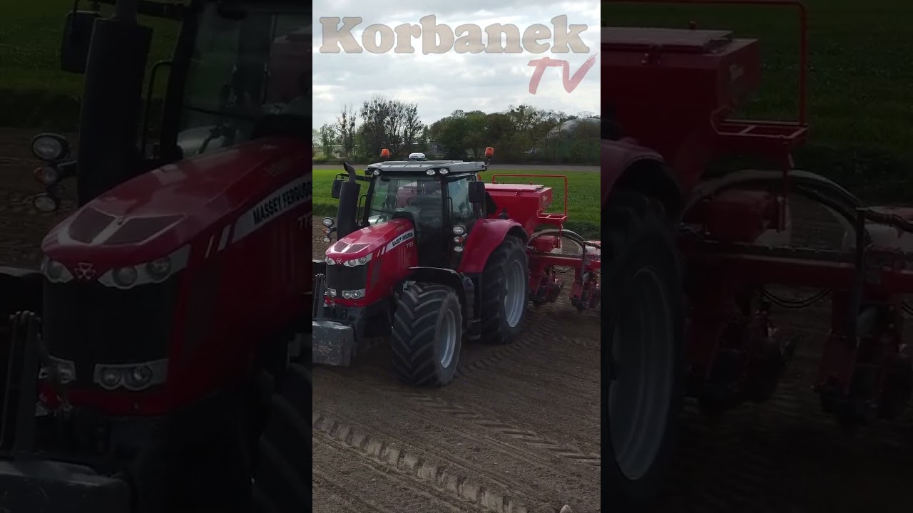 Massey Ferguson 7722 z siewnikiem Sola Velox