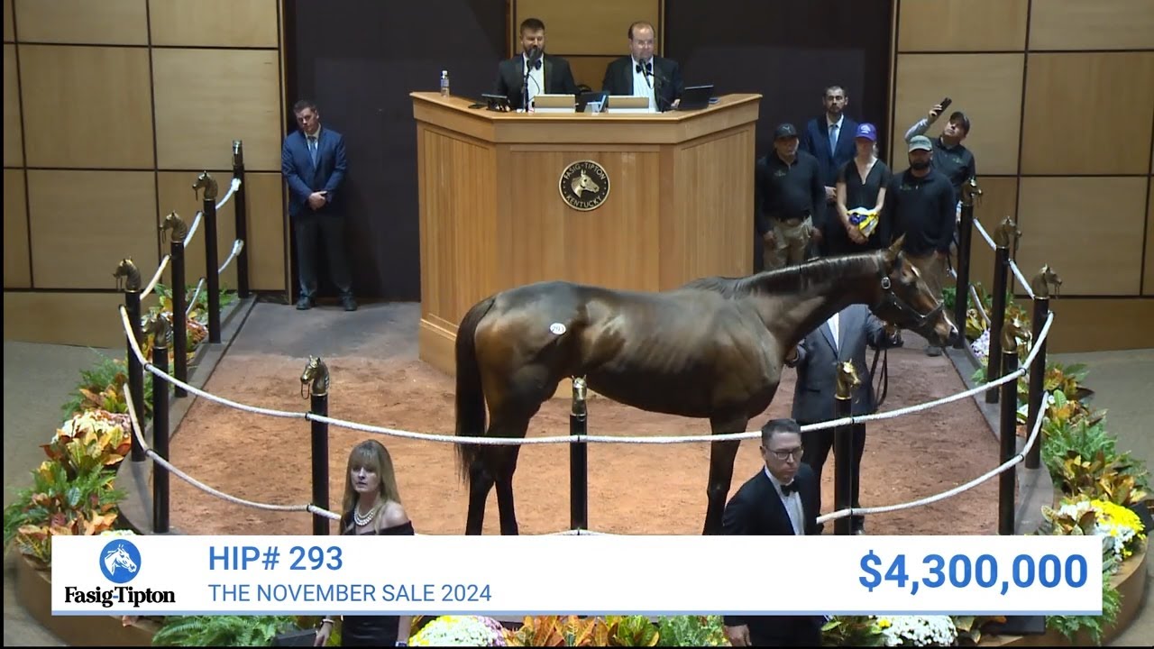 Moira sells for $4,300,000 at The November Sale (2024)