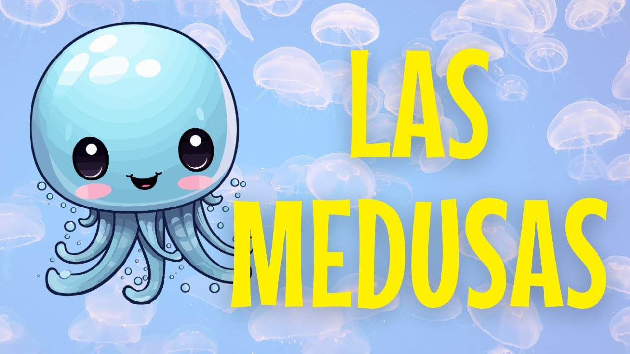 Las Medusas - vídeo educativo para niños 🪼 for kids!