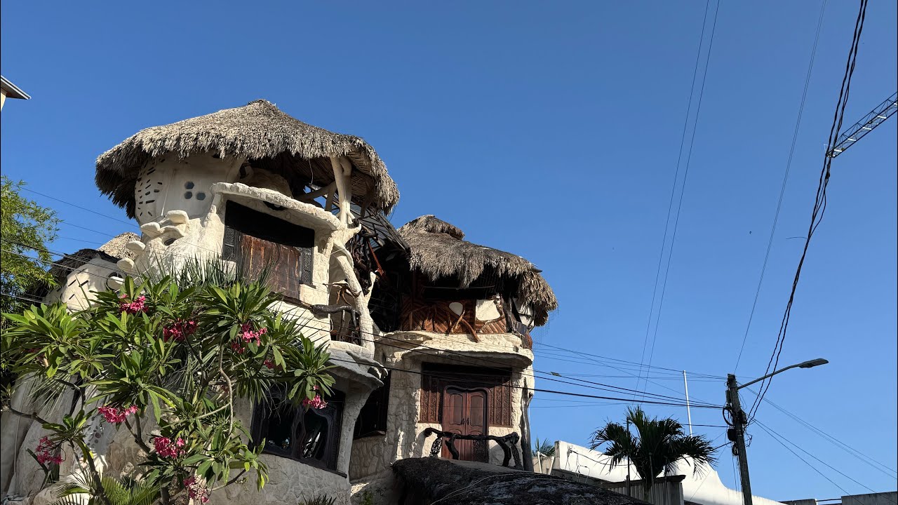 Puerto Morelos, segundo arrecife mundial y está en México 🇲🇽
