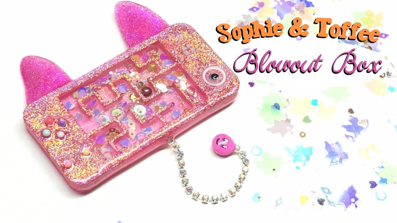 Cat Maze Shaker- Sophie and Toffee Blowout box- UV resin- DIY