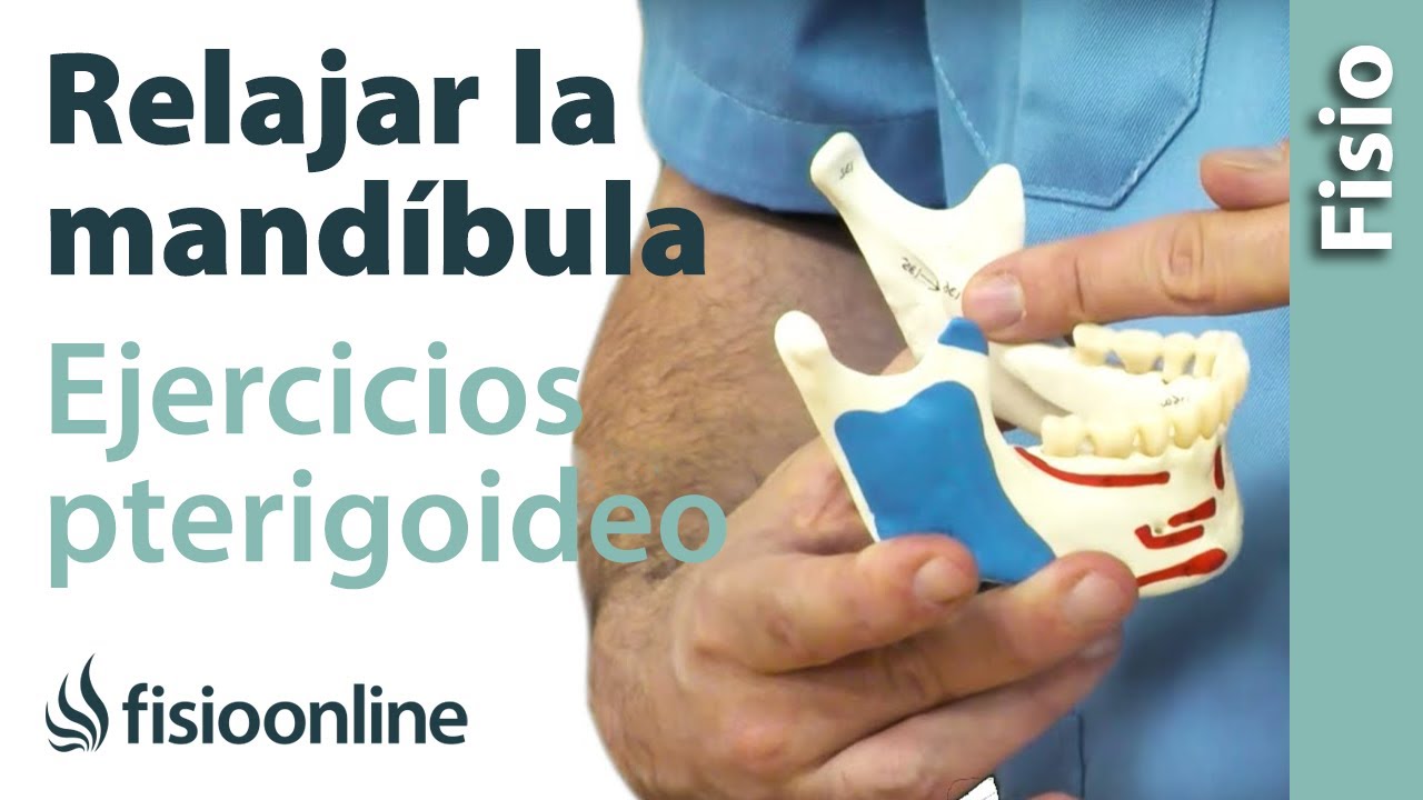 Relajar la mandíbula - Ejercicios para los pterigoideos