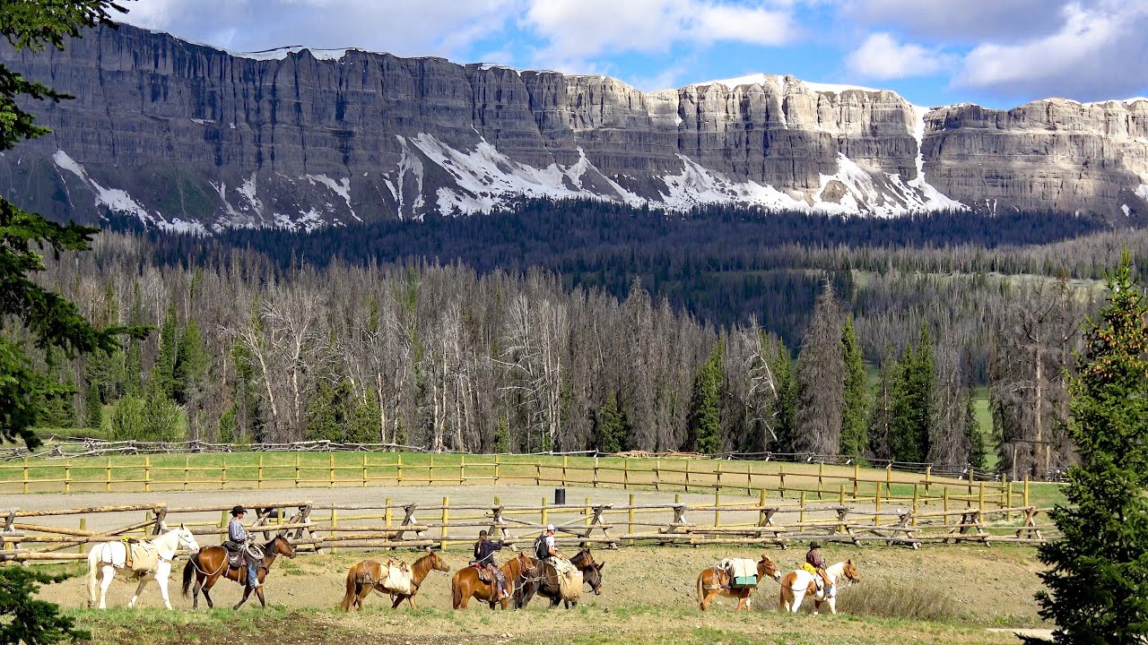 Shoshone National Forest Wyoming: Authentic Old West Experience 4K Video