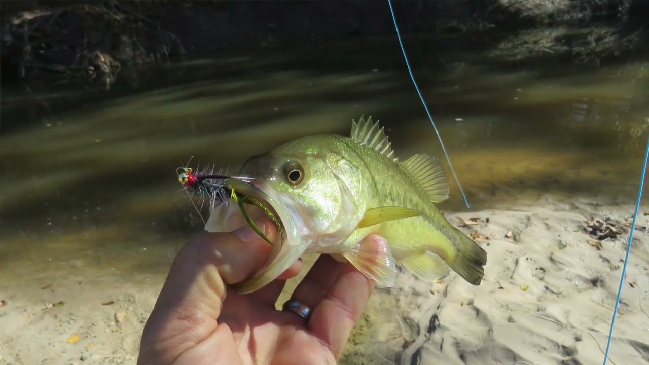 FishTales: Waiting is the Hard Part