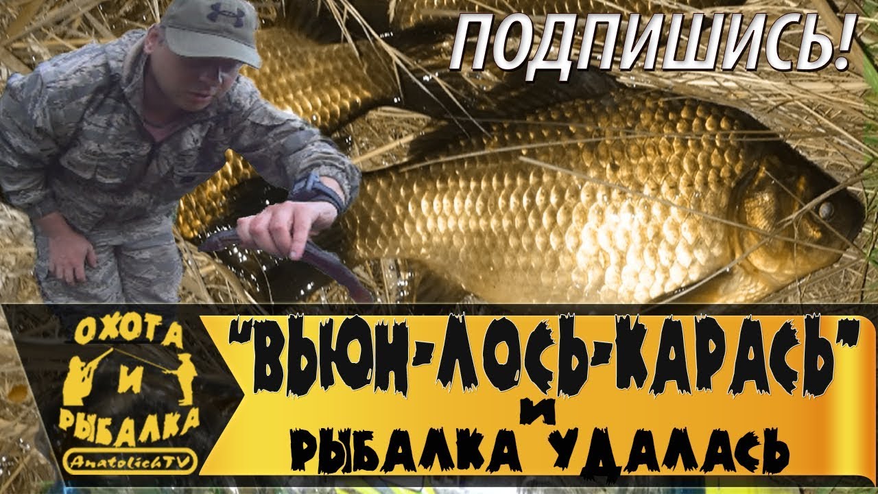 Поймал вьюна, карася и увидел лося!!! Отдых на природе, после работы