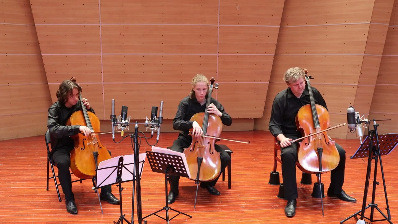 F. Amosov Jazz Suite No 1 for three cellos