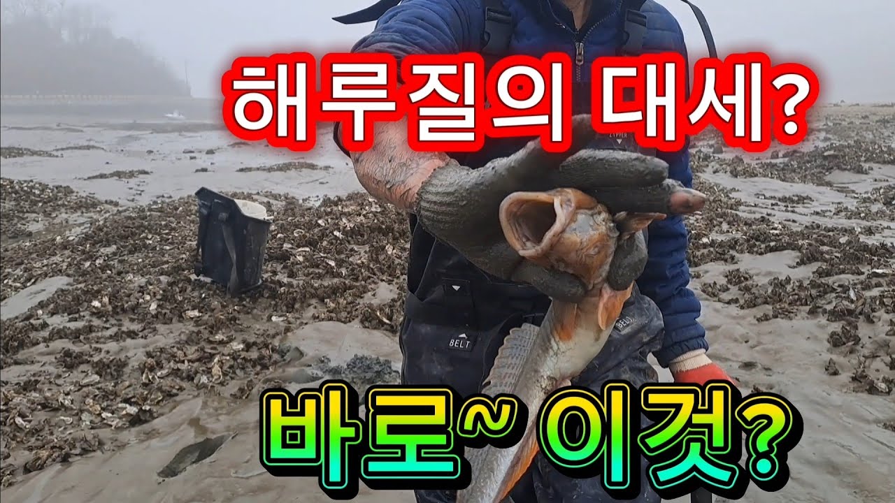 해루질의 대세는 바로~ 이것?