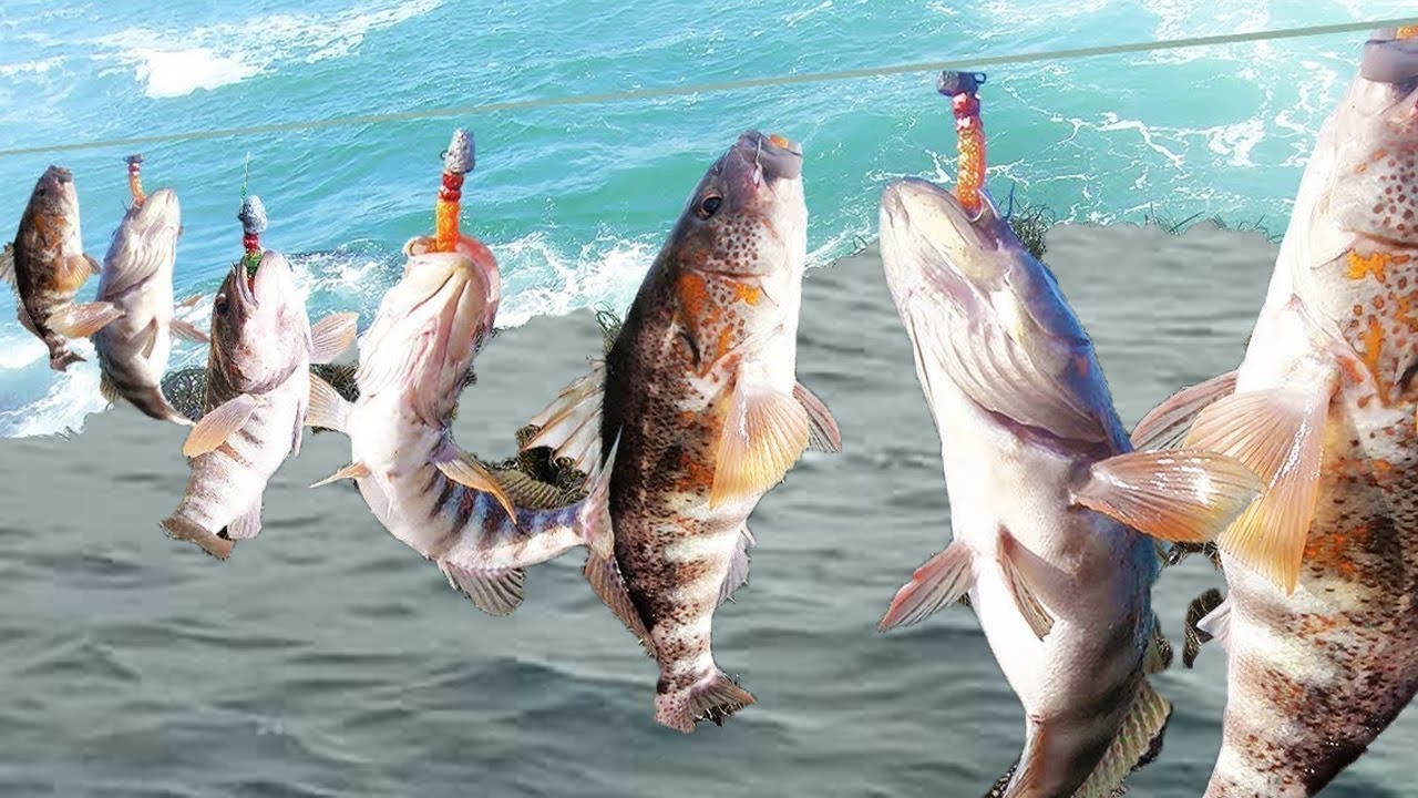 Worlds Most fishing interesting In the sea - Beautiful place of nature