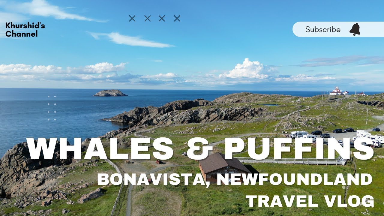 PUFFINS | WHALES | BONAVISTA | NEWFOUNDLAND| | Places to visit in Canada | Nature Travels