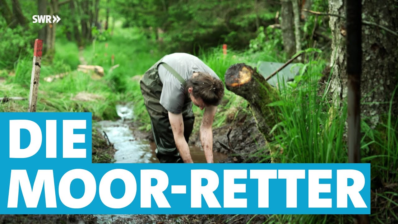Matschiger Umweltschutz: Die Hunsrücker Moor-Retter vom Bergwaldprojekt