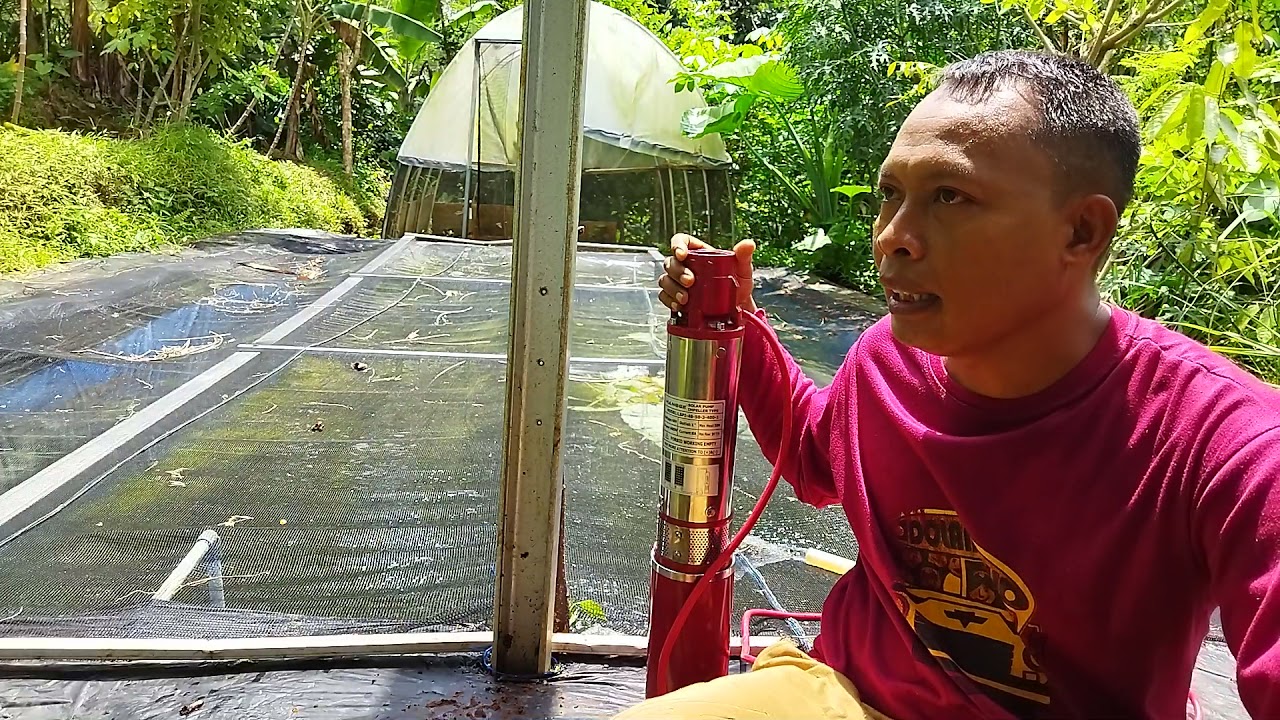 Revew Pompa Tenaga surya400w Brushed