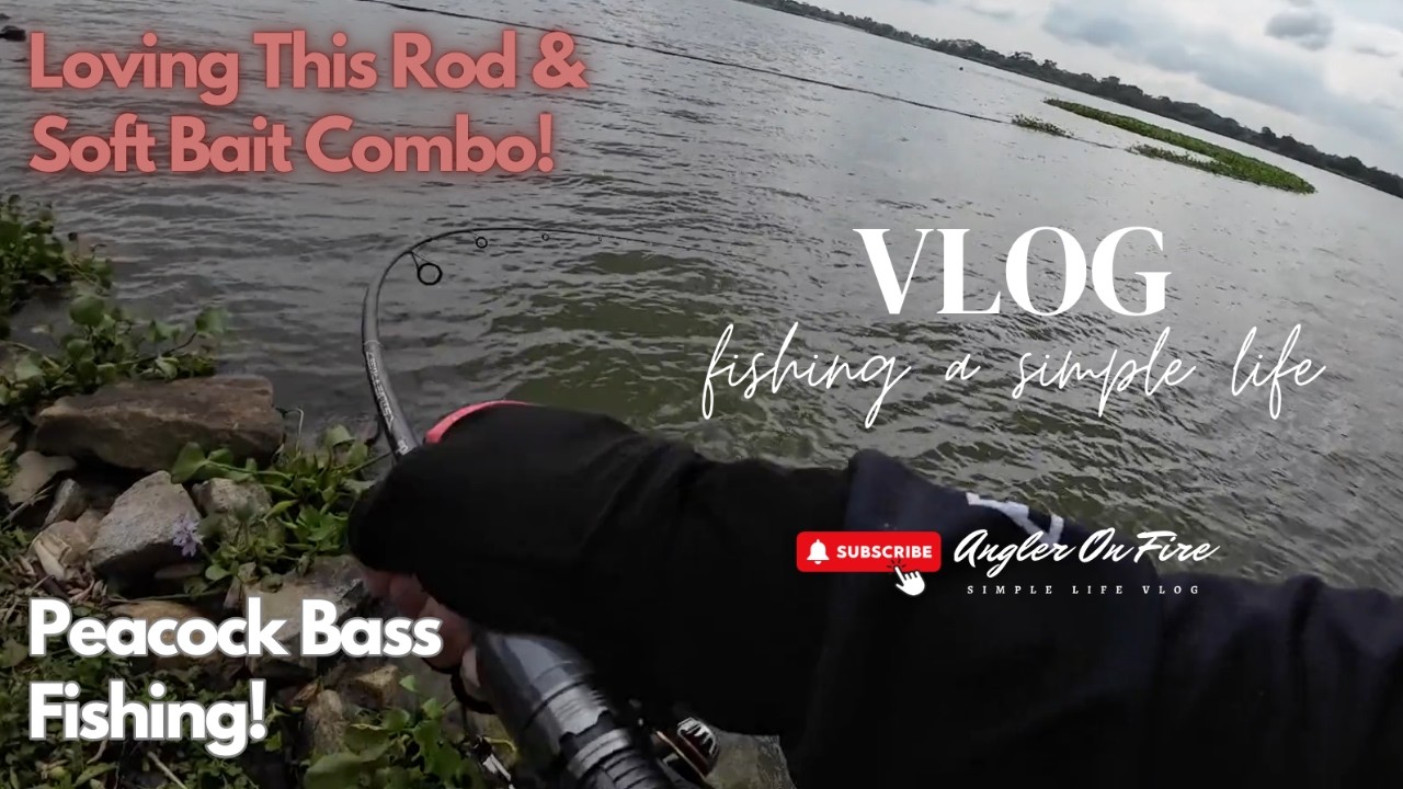 Vlog 65: Loving This Rapala Soft Bait & Rod Combo! Singapore Freshwater Fishing Fun!