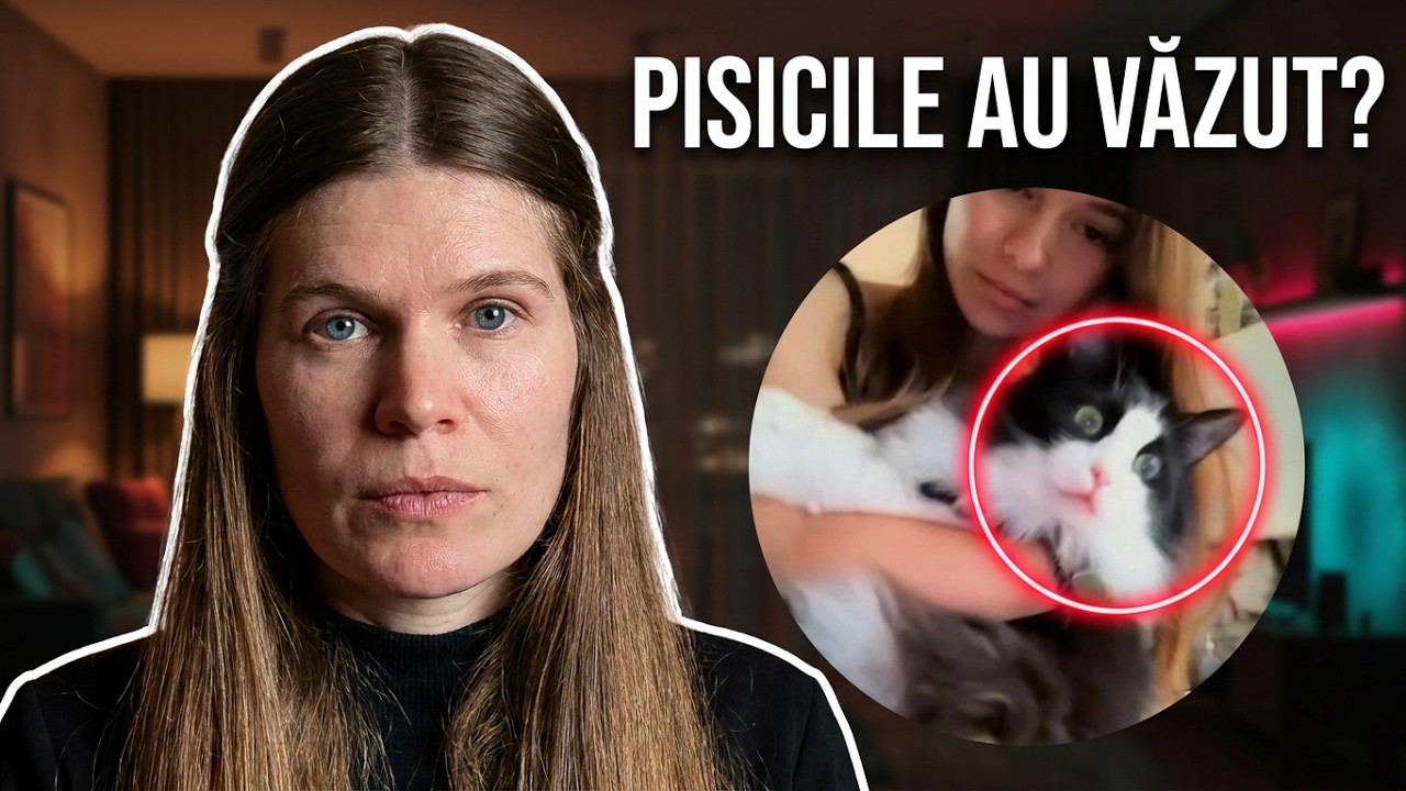 Trântorul cu patima băuturii ce trăia pe Banii Iubitei