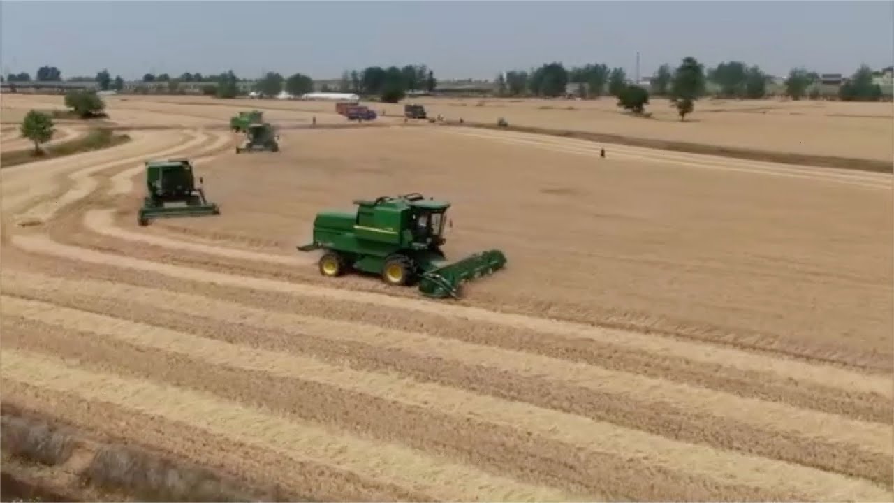 China starts harvest season with driverless harvesters