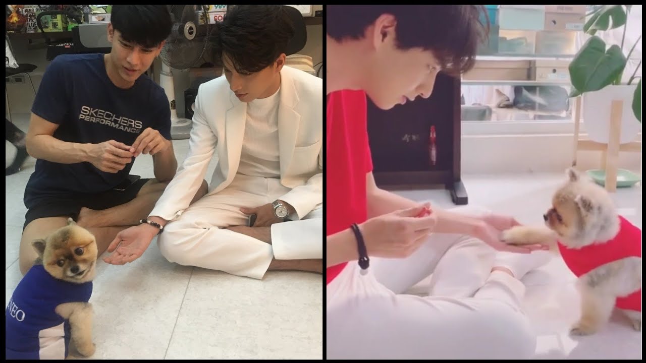 Baby Kana vs Chopper first meet & Now