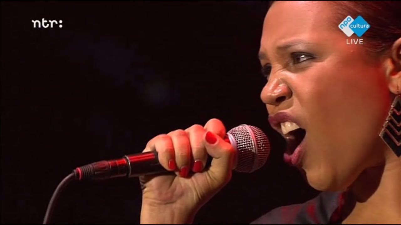 Snarky Puppy feat: Shayna Steele - Gone Under - North Sea Jazz 2014