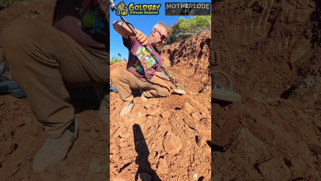 First gold nugget of the day!  About 3&ndash;4 grams, but it&rsquo;s that sparkle that counts. 😎 #shortsvideo