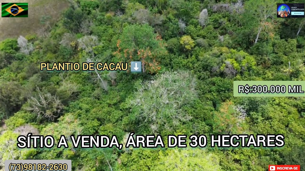 *VENDIDA*Sítio à venda, cacau, pimenta do reino,pequena cachoeira e muitas frutíferas, Maraú - Bahia