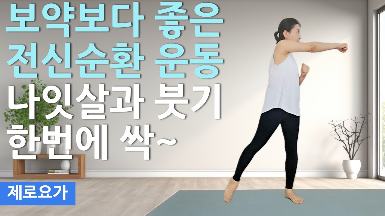 효과좋은 중년 다이어트 쉬운동작으로 막힌 혈관 뻥 뚫립니다 / standing workout | 제로요가 Joanne