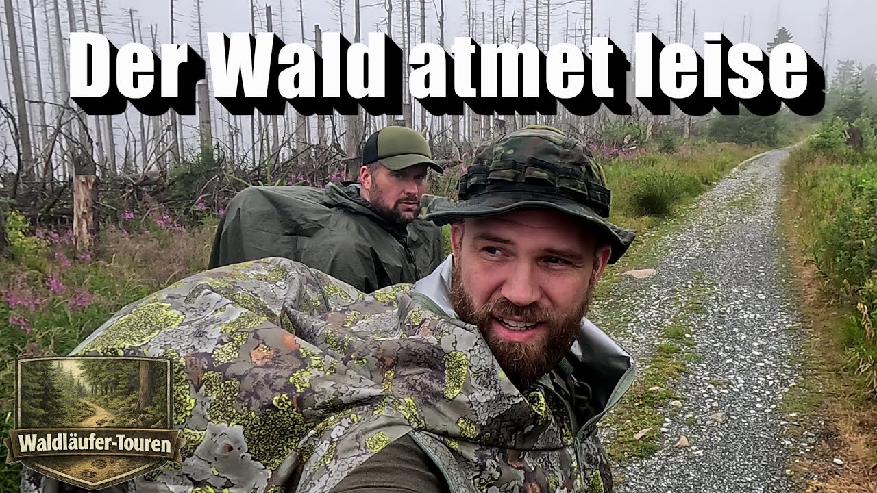 Drau&szlig;en, wenn andere reingehen - Bushcraft Nacht im nebligen Regenwald &mdash; Waldl&auml;ufer Tour