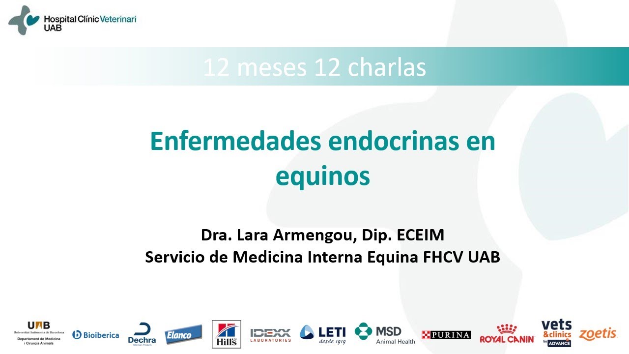 12 meses 12 charlas: Enfermedades endocrinas en equinos (Dra. Lara Armengou)