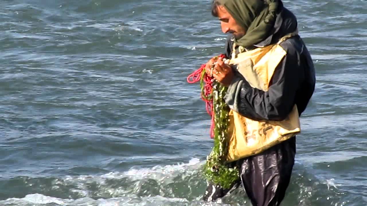 Local Fishermen Fishing In River Sawat