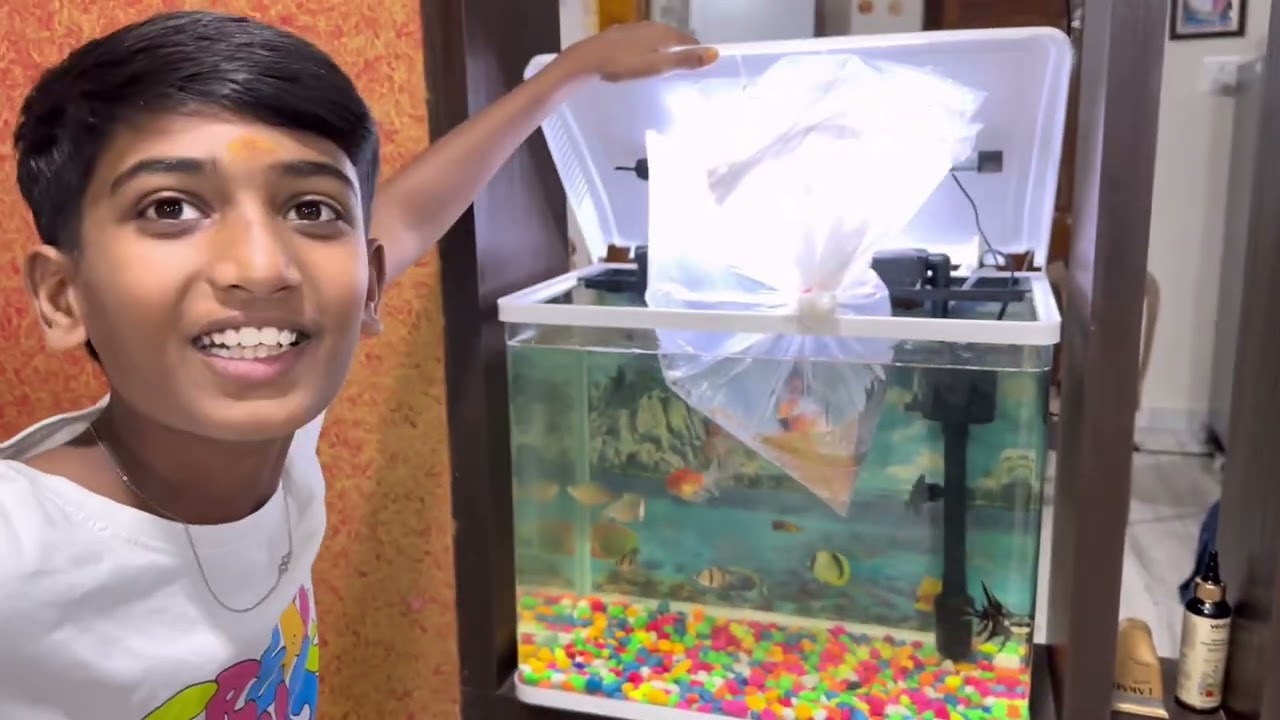 New All Fish Konnamu || Manu fish Videos || chapalu konnamu || Telugu Letest All Atoz