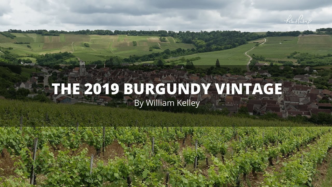 The Wine Advocate's William Kelley on the 2019 Burgundy vintage