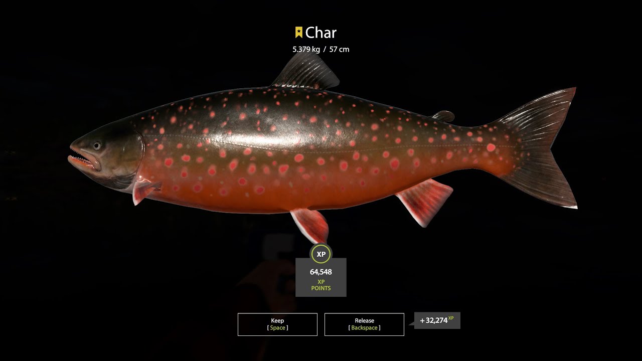 Russian Fishing 4 - Ladoga Lake Trophy Char