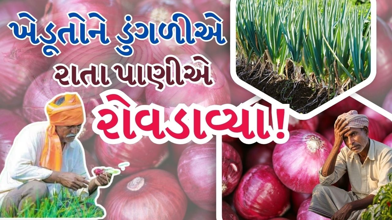 ખેડૂતોને ડુંગળીએ રાતા પાણીએ રોવડાવ્યા! | Onion | Farmers | Bhavnagar | TV9Gujarati
