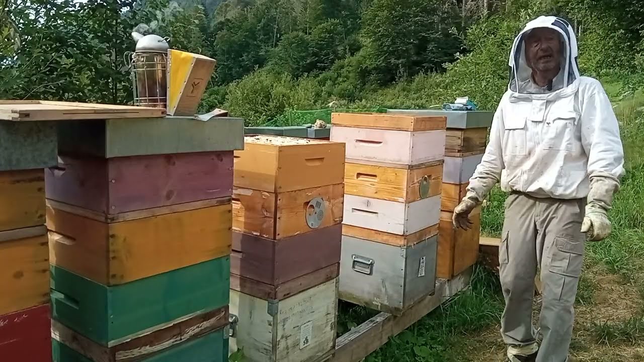 Uso dell'apiscampo. I trucchi del mestiere.