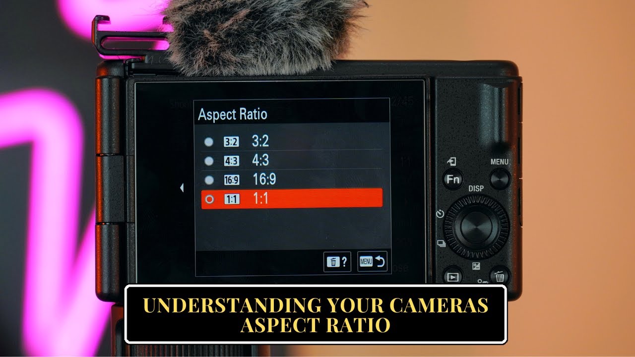 SONY ZV-1F: ASPECT RATIO & BUILT-IN LEVEL FOR FLAWLESS VIDEOS! | SIMPLE SHOOTING AND EDITING TIPS