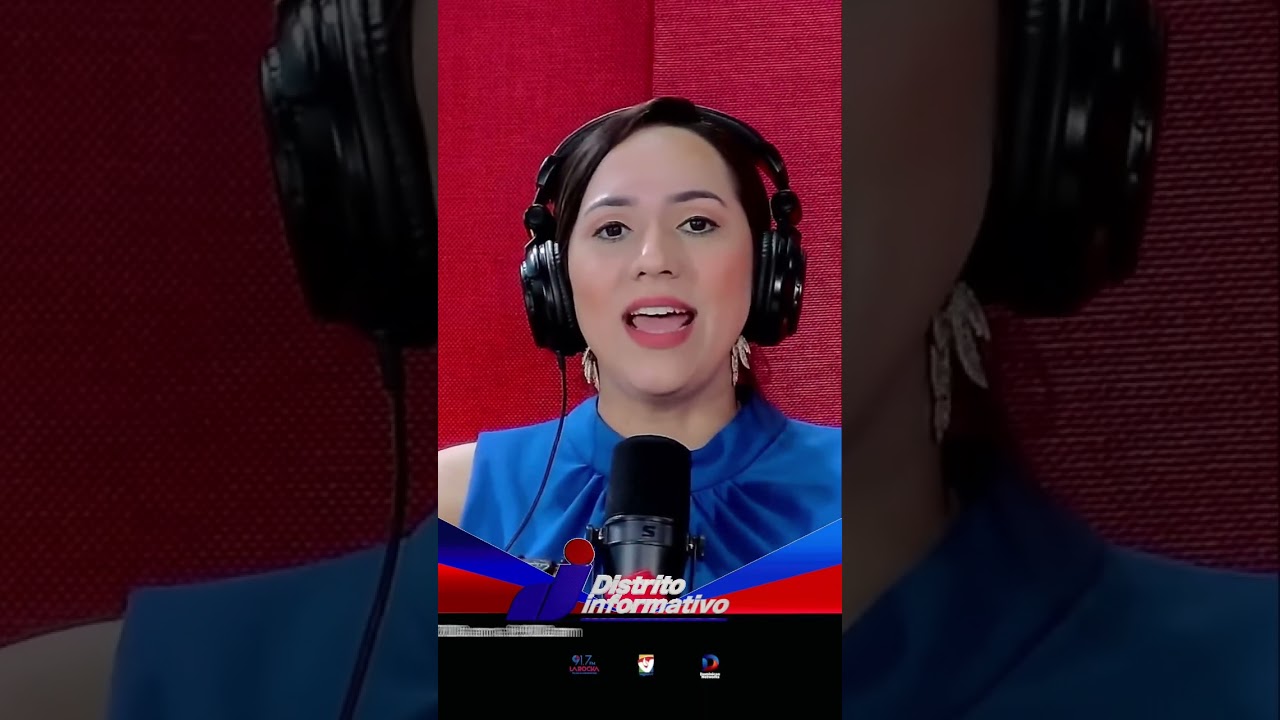 El #SICA se celebra en #Santiago: logros y desaciertos. 👏🏽🇩🇴🌎 | Lina Bison&oacute;