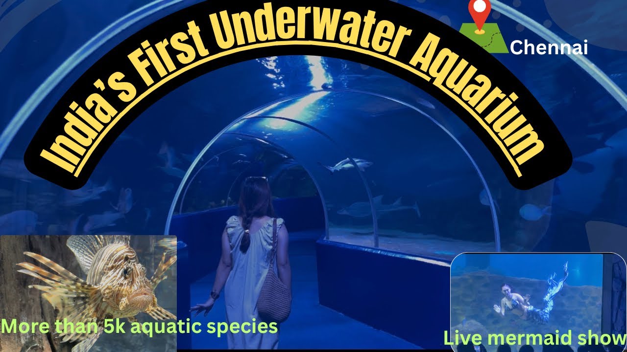 VGP Marine Kingdome// Chennai// live mermaid show// more than 5k aquatic species