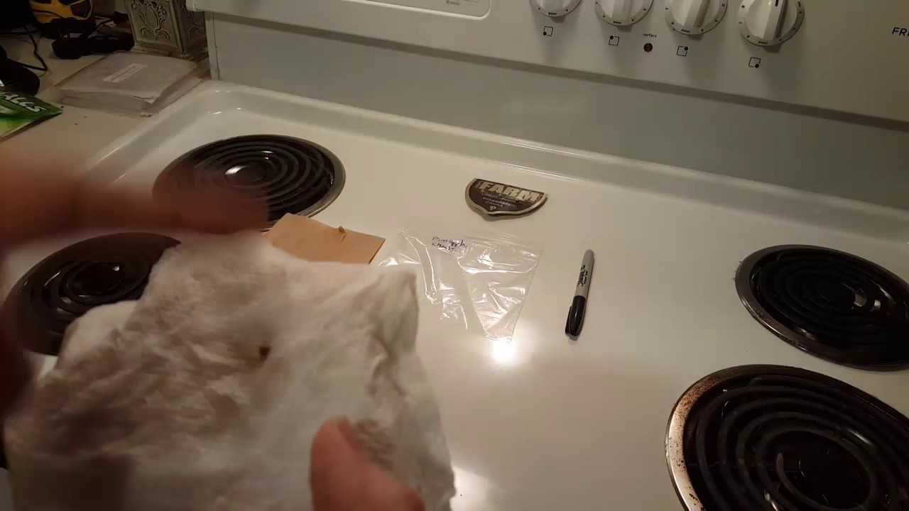 How to germinate seeds 100% with new tips