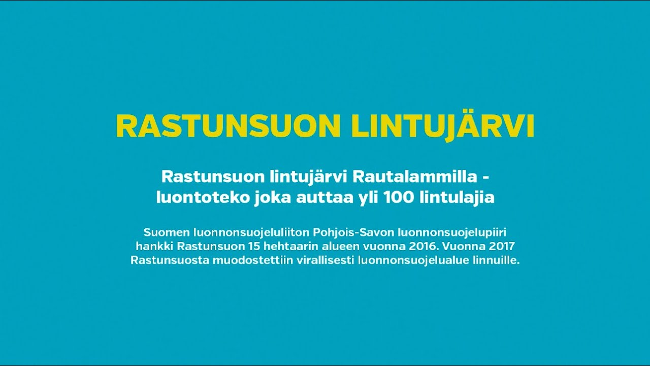 Rastunsuon lintujärvi - luontoteko, joka auttaa yli 100 lintulajia
