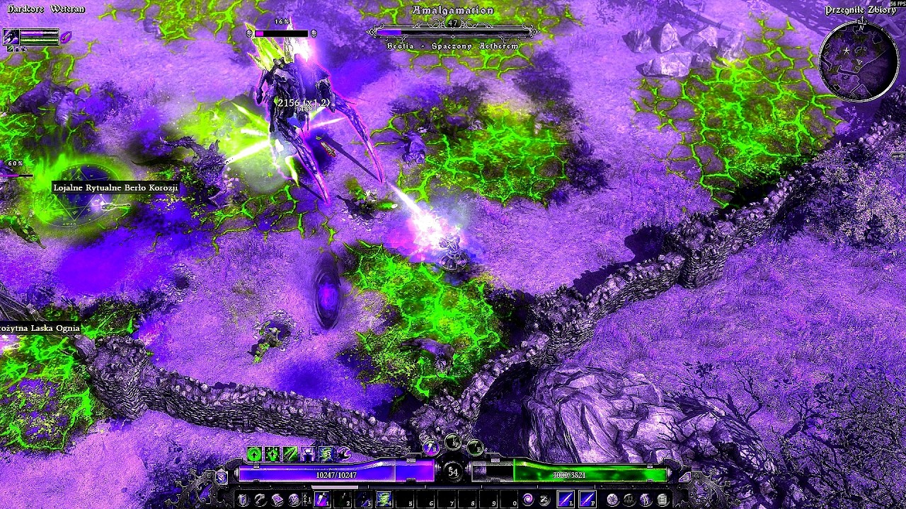 Grim Dawn - HC Druid 54lvl Weteran Vs. Amalgamation Boss.
