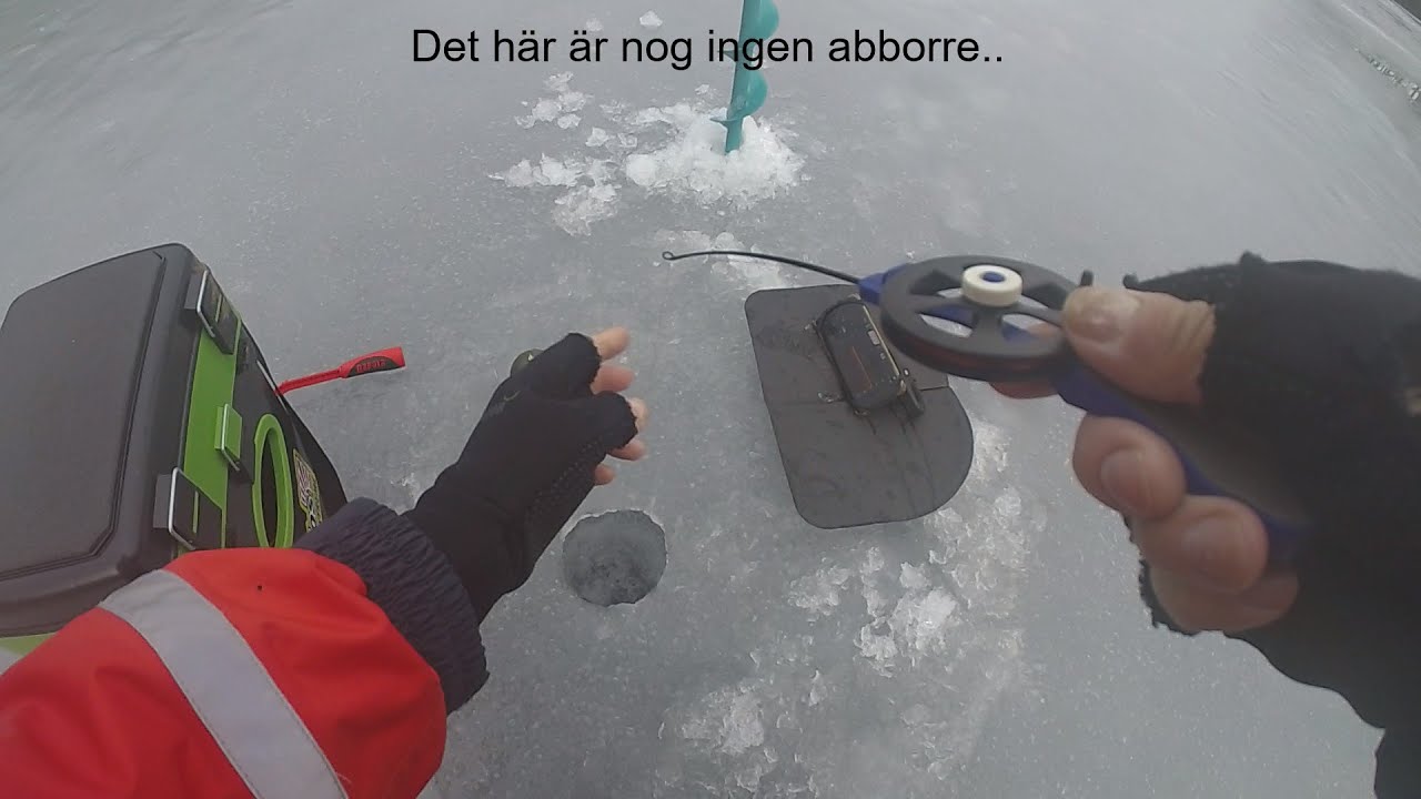 Jakten på abborre i Kullsjön. Deeper smart sonar chirp+. Pimpel isfiske regnbåge, Ice fishing perch