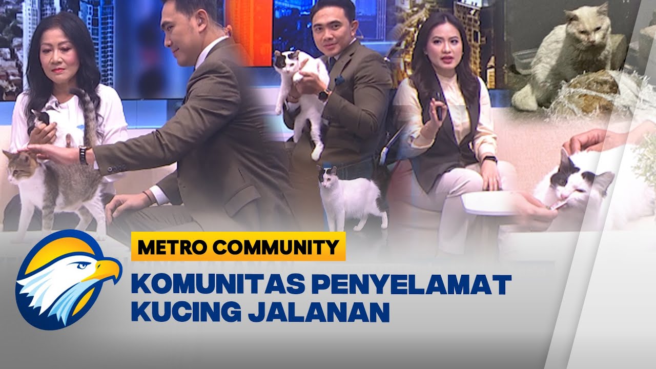 Metro Community - Jakarta Cat Lovers, Komunitas Penyelamat Anabul yang Terlantar