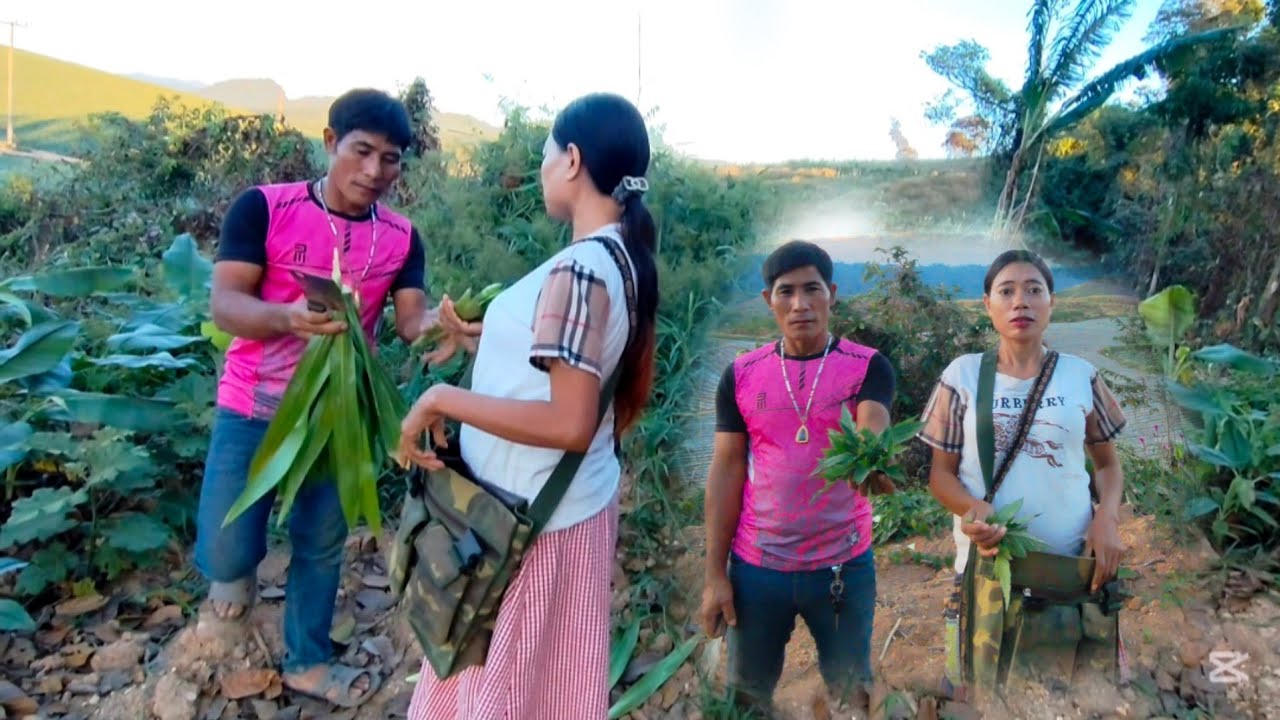 สาวลีกับบ่าวเฟือง พากันหาเก็บผักตามธรรมชาติ คนป่า เผ่าตองเหลือง ຄົນປ່າ ເຜົ່າຕອງເຫລືອງ