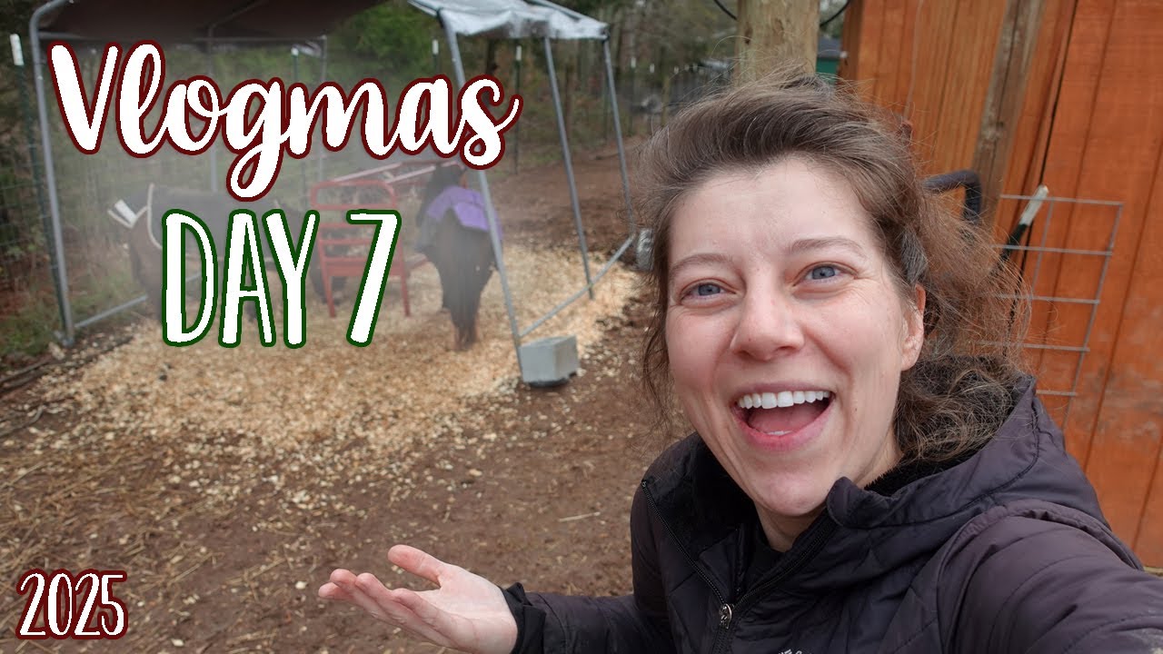 Создание убежища для животных! | Vlogmas День 7 | Ohcluck