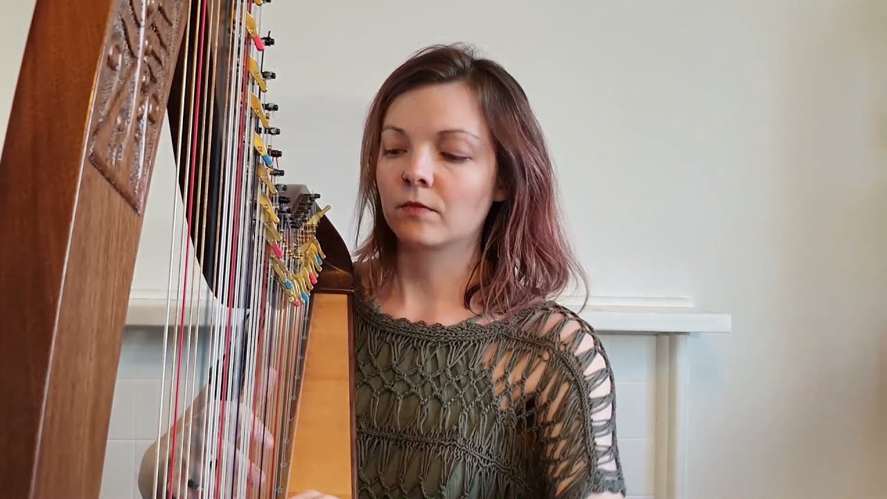 You & Me (Flume Remix) - Harp Cover