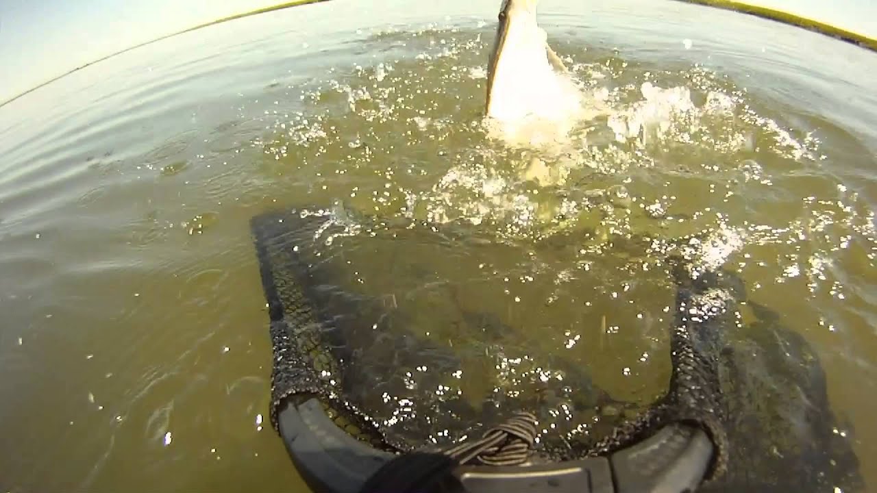 Native Slayer Propel13 Fluke Fishing